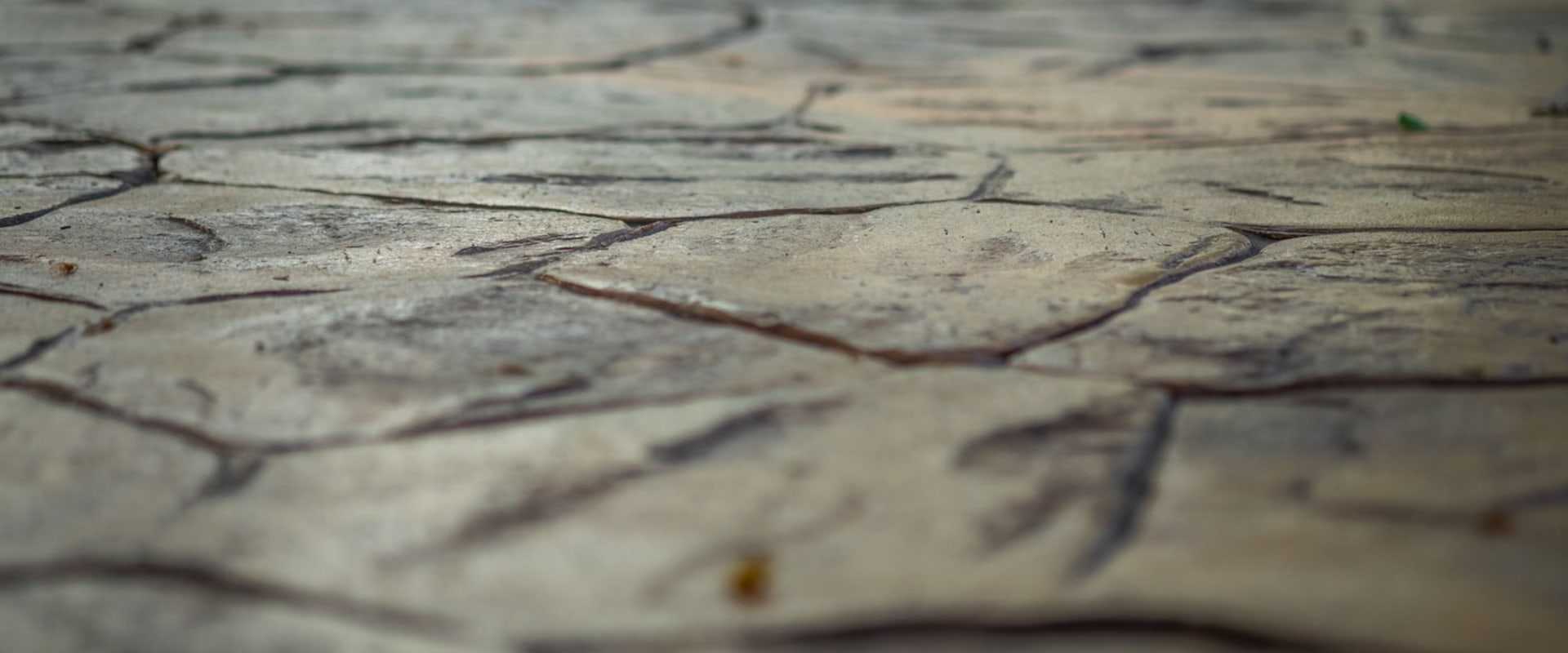 Earth Tones: A Comprehensive Look at Stamped Concrete Colors